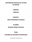 Acciones de inconstitucionalidad. Control constitucional