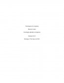 Tecnología aplicada a la logística.