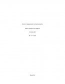 Control 4. Segmentación y Posicionamiento.