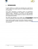 Practica elaboración de yogurt.