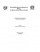 Psicología de las organizaciones . Entrevista de selección