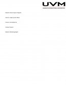 Marketing Digital Empresa: CV DIRECTO