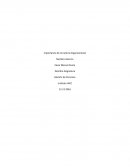 Importancia de la Cultura Organizacional. Gestión de Personas