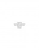 Ética y Responsabilidad Social. Proyecto final