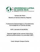 Aspectos legales de las uniones civiles de las personas pertenecientes al grupo LGBTI