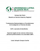 Aspectos legales de las uniones civiles de las personas pertenecientes al grupo LGBTI