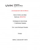 Estrategias de aprendizajes y habilidades digitales