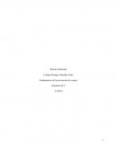 Plan de formación. Fundamentos de la prevención de riesgos