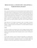 PROYECTO PARA LA CONSTITUCIÓN Y CREACIÓN DE LA "RADIO MUNICIPAL PELILEO"