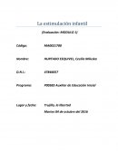 DESARROLLE SUS COMENTARIOS SOBRE LOS CRITERIOS CONCEPTUALES DE LA ESTIMULACIÓN INFANTIL: