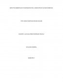 IMPACTOS AMBIENTALES OCASIONADOS POR LA UBICACIÓN DE ALGUNOS ÁRBOLES.