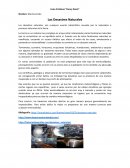 Ensayo Desastres Naturales