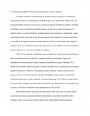 La contaminación global, el mal que podría terminar con la raza humana