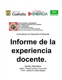 INFORME EXPERIENCIA DOCENTE. Página 1