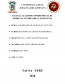 Exploracion de marcha en vacunos