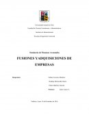 Fusión y Adquisición de Empresas