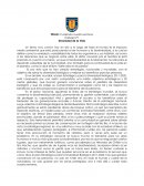 Trabajo Nº1 Diversidad de la Vida