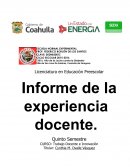 INFORME EXPERIENCIA DOCENTE