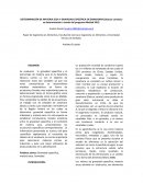 DETERMINACIÓN DE MATERIA SECA Y GRAVEDAD ESPECÍFICA EN ZANAHORIA