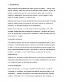 Adolescencia. La pubertad y sus signos.