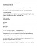 ENSAYO SISTEMAS DE INFORMACION II