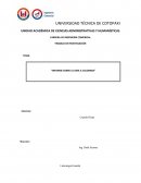 DESCRIPCION DE LAS ACTIVIDADES DESARROLLADAS.