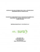 Informe salud ocupacional.