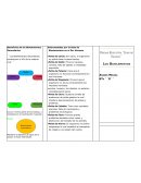 Beneficios de los Bioelementos Secundarios