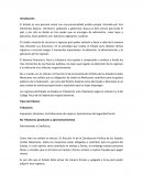 Proceso Administrativo de Ejecución.