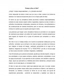 Ensayo ¿Soy un líder?