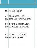 MICROECONOMIA SELECCIÓN DE BIENES SERVICIOS