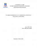 UNA MIRADA RETROSPECTIVA A LA ANTROPOLOGIA COMO CIENCIA QUE ESTUDIA LA HUMANIDAD.