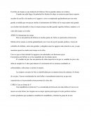 En tribus de etiopia es una tradición de belleza el llevar grandes platos en lo labios.