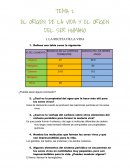 EL ORIGEN DE LA VIDA Y EL ORIGEN DEL SER HUMANO