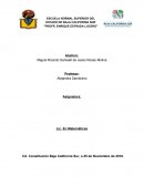 Informe Matemáticas