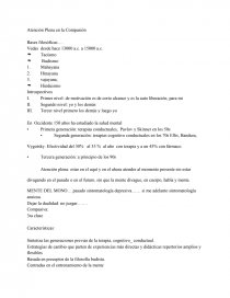 ATENCION PLENA BASADO EN LA COMPACION CON BASES FILOSOFICAS. Página 1