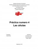 Saber: principios de biología