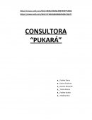 CONSULTORA “PUKARÁ”