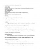 LA ORGANIZACIÓN DE LA VIDA DOMÉSTICA