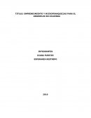 EMPRENDIMIENTO Y MICROFRANQUICIAS PARA EL DESEMPLEO EN COLOMBIA