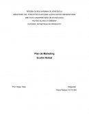 Ejemplo de plan de marketing.