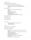 Impuesto a la Renta El impuesto a la renta esta grabado a los ingresos