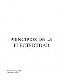 PRINCIPIOS DE LA ELECTRICIDAD