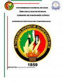 INFORME DE PRÁCTICAS PRE-PROFESIONALES