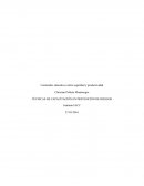 TÉCNICAS DE CAPACITACIÓN EN PREVENCIÓN DE RIESGOS.