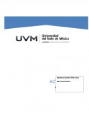La empresa y las estructuras de mercado. La oferta y la demanda
