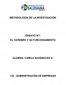 EL CEREBRO Y SUS FUNCIONES.