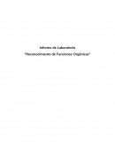 Informe de Laboratorio “Reconocimiento de Funciones Orgánicas”