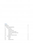 INFORME DE LA INVESTIGACIÓN