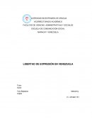 Libertad de expresion en venezuela.